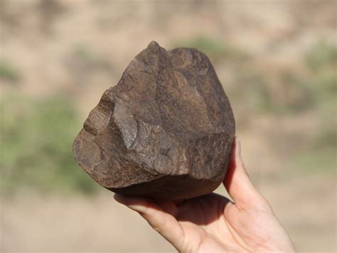 oldest stone tool ever found.